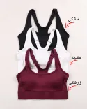 نیم تنه فلامنت y0054