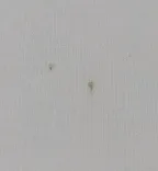 بلوز رنگی OppsiH00299 - Image 23